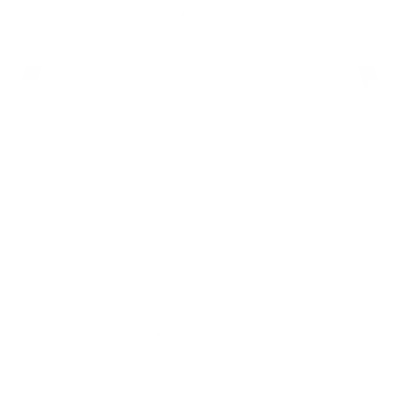 section icon