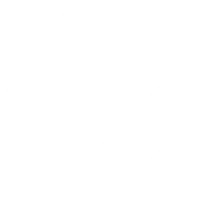 section icon