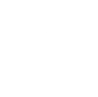 section icon
