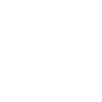 section icon