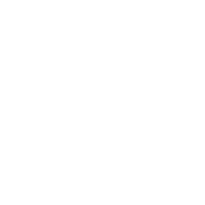 section icon