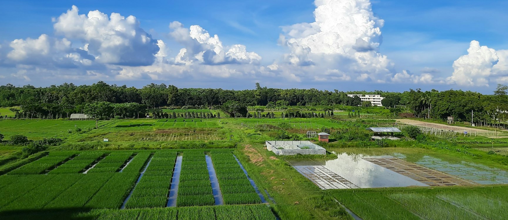 India Achieves Breakthrough with Indigenous Water-Soluble Fertiliser Technology