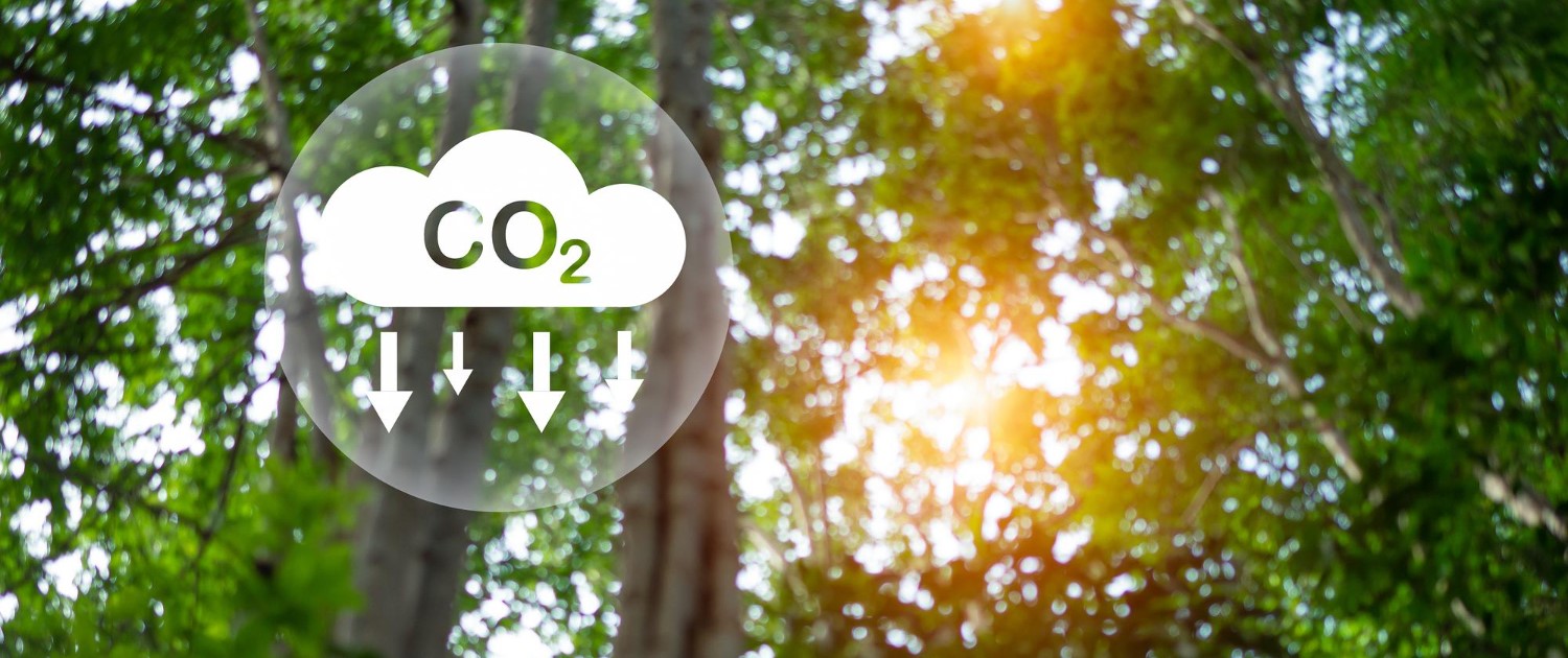 India Achieves Rare Drop in Power-Sector CO2 Emissions