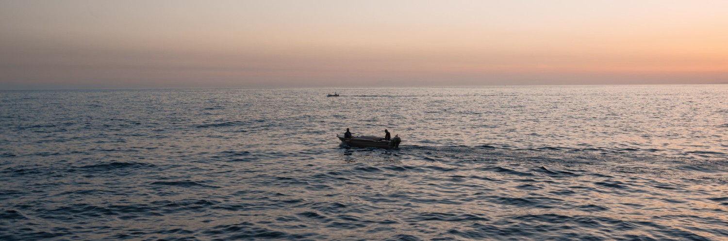 Oman Extends Sea Cucumber Fishing Ban to Protect Marine Biodiversity