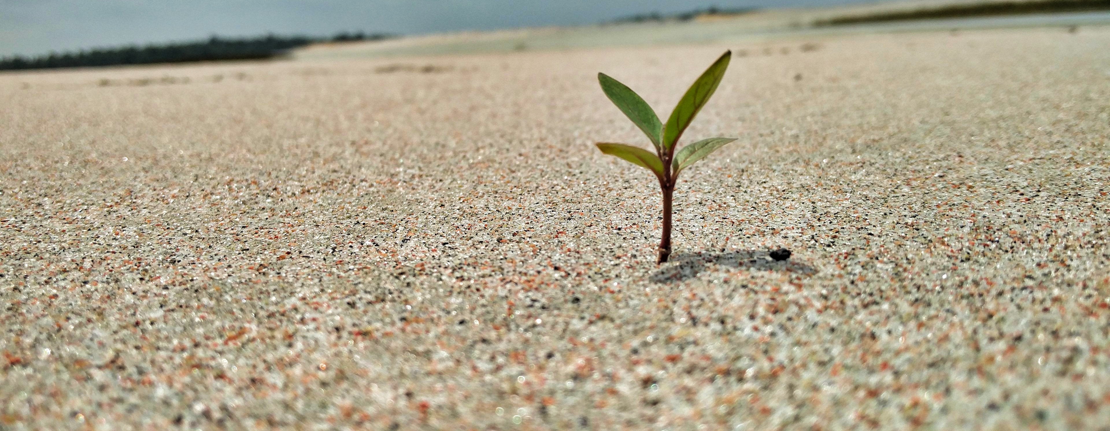 UAE Expands Protected Natural Areas to Boost Biodiversity and Sustainability