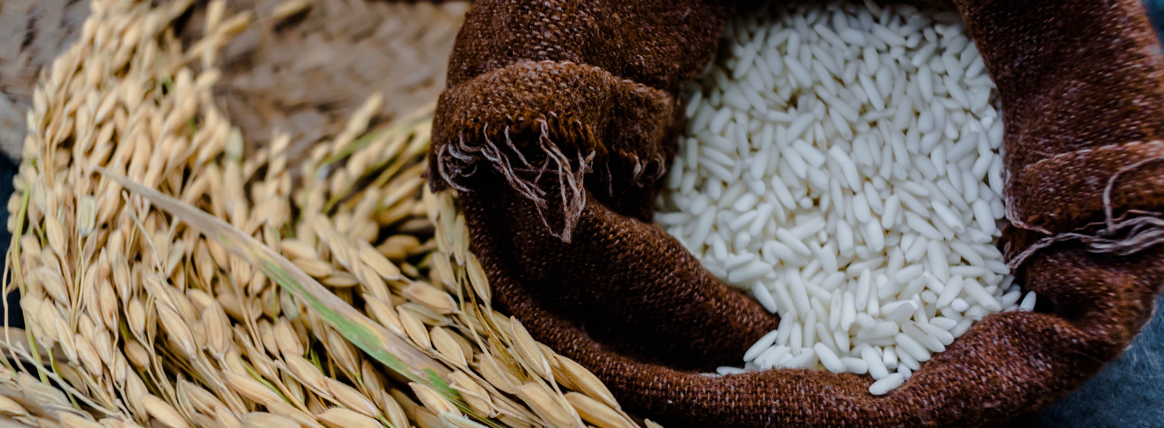Vietnam and Singapore Sign MoU to Boost Rice Trade