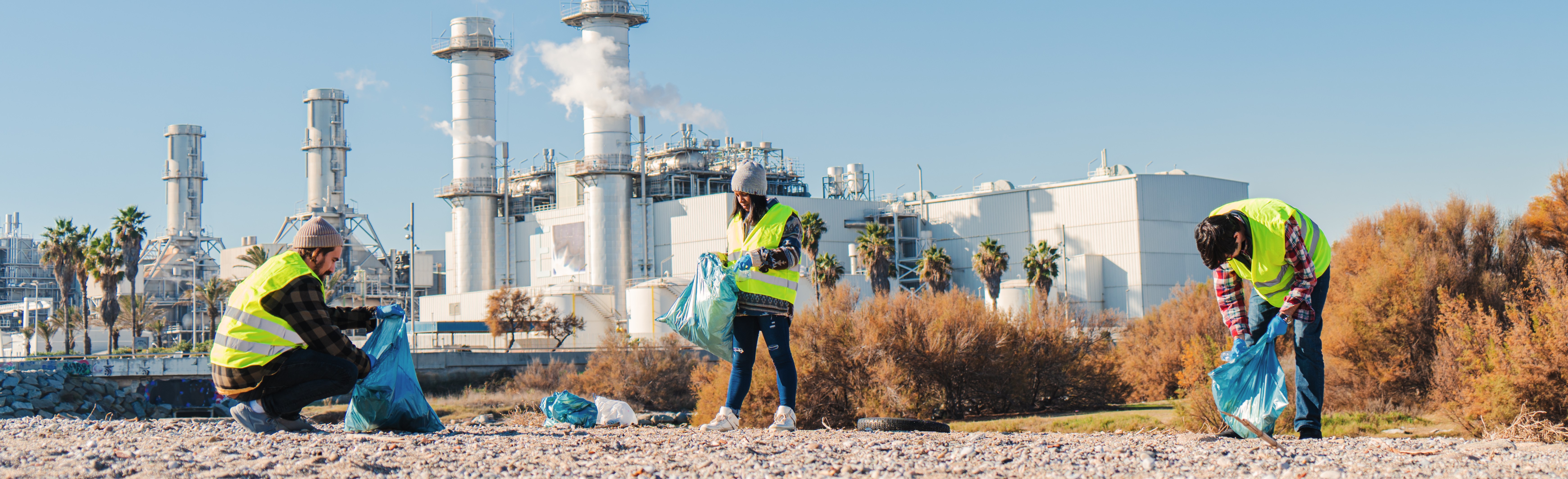 Clean UAE 2025 campaign sees mass volunteer participation