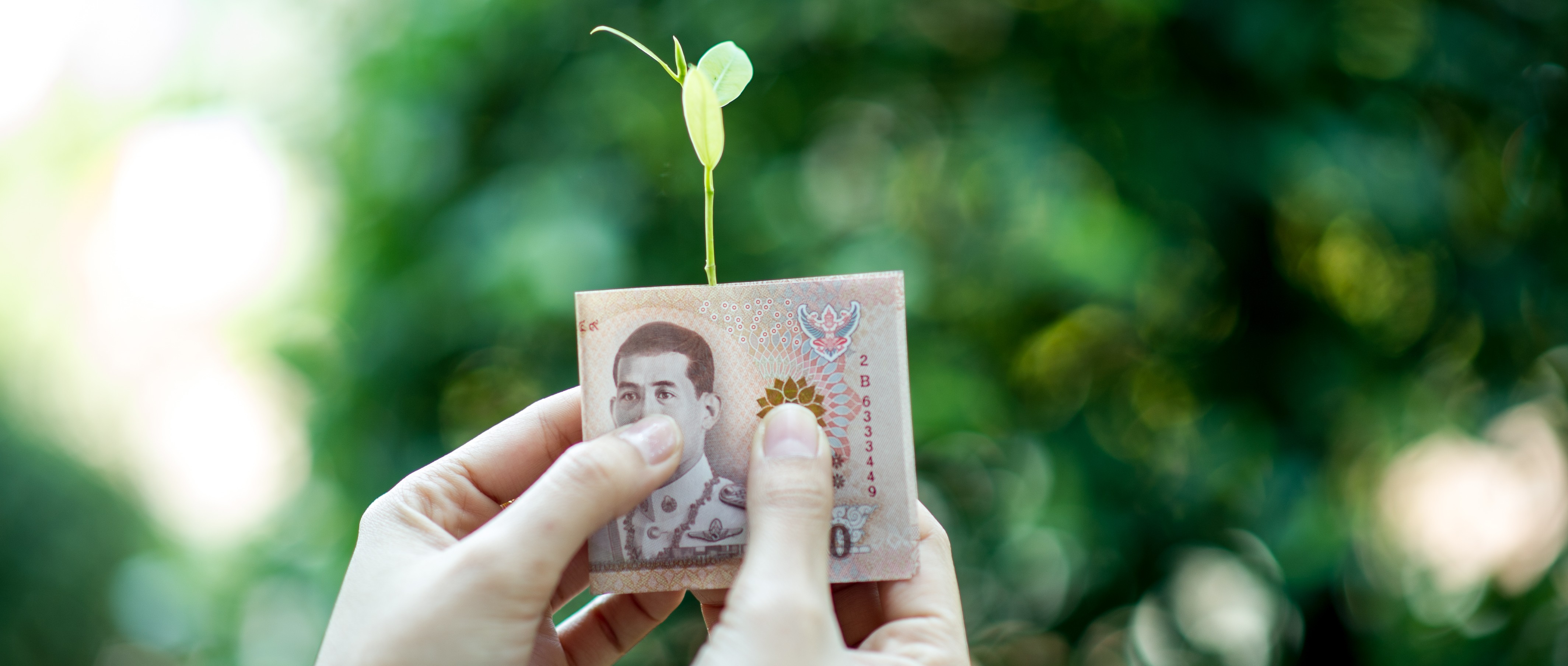 Experts Advise Malaysia to Set Carbon Tax at Balanced Rate to Curb Emissions