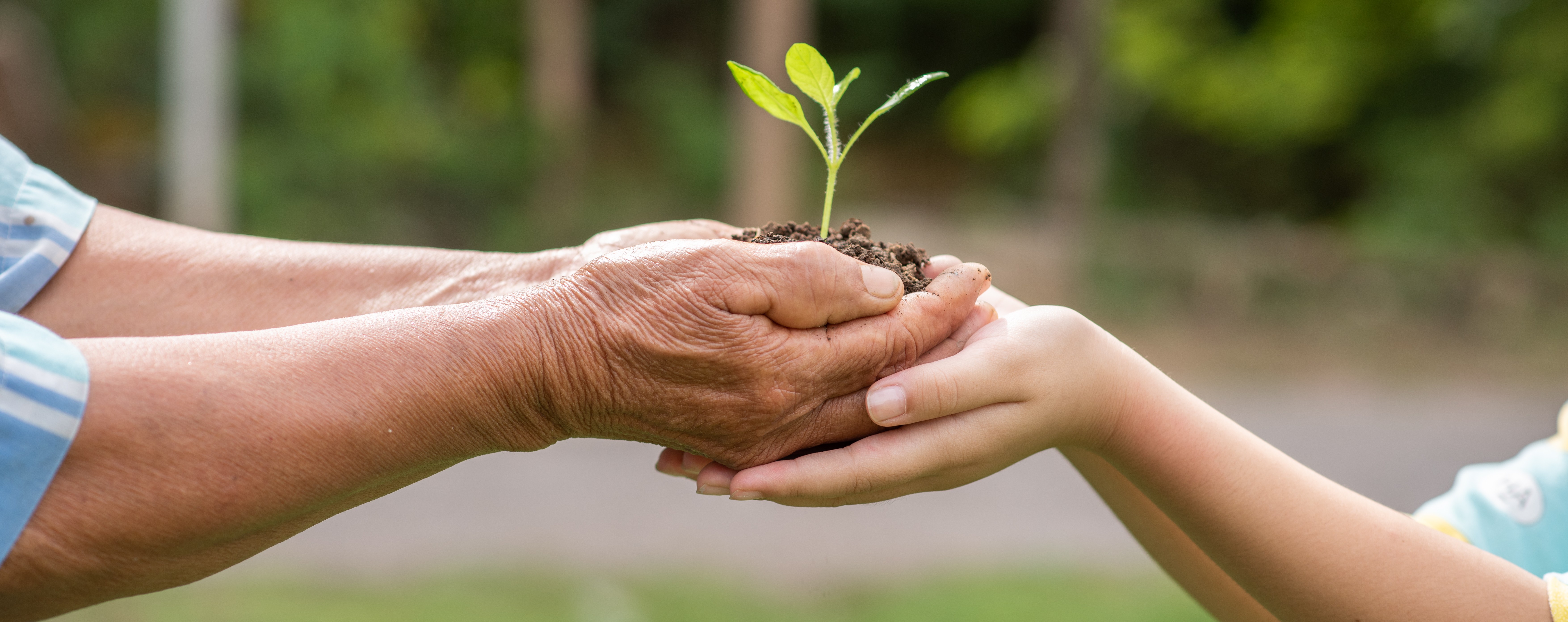 Bahrain and UAE Strengthen Environmental Cooperation at Mohammed bin Zayed Nature Reserve