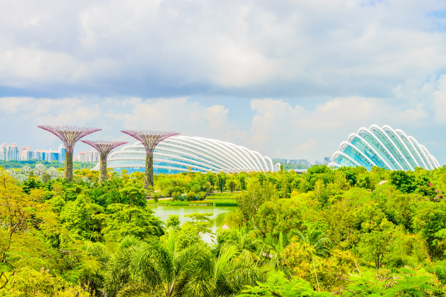 Singapore Unveils New Parks Projects to Boost Nature Tourism