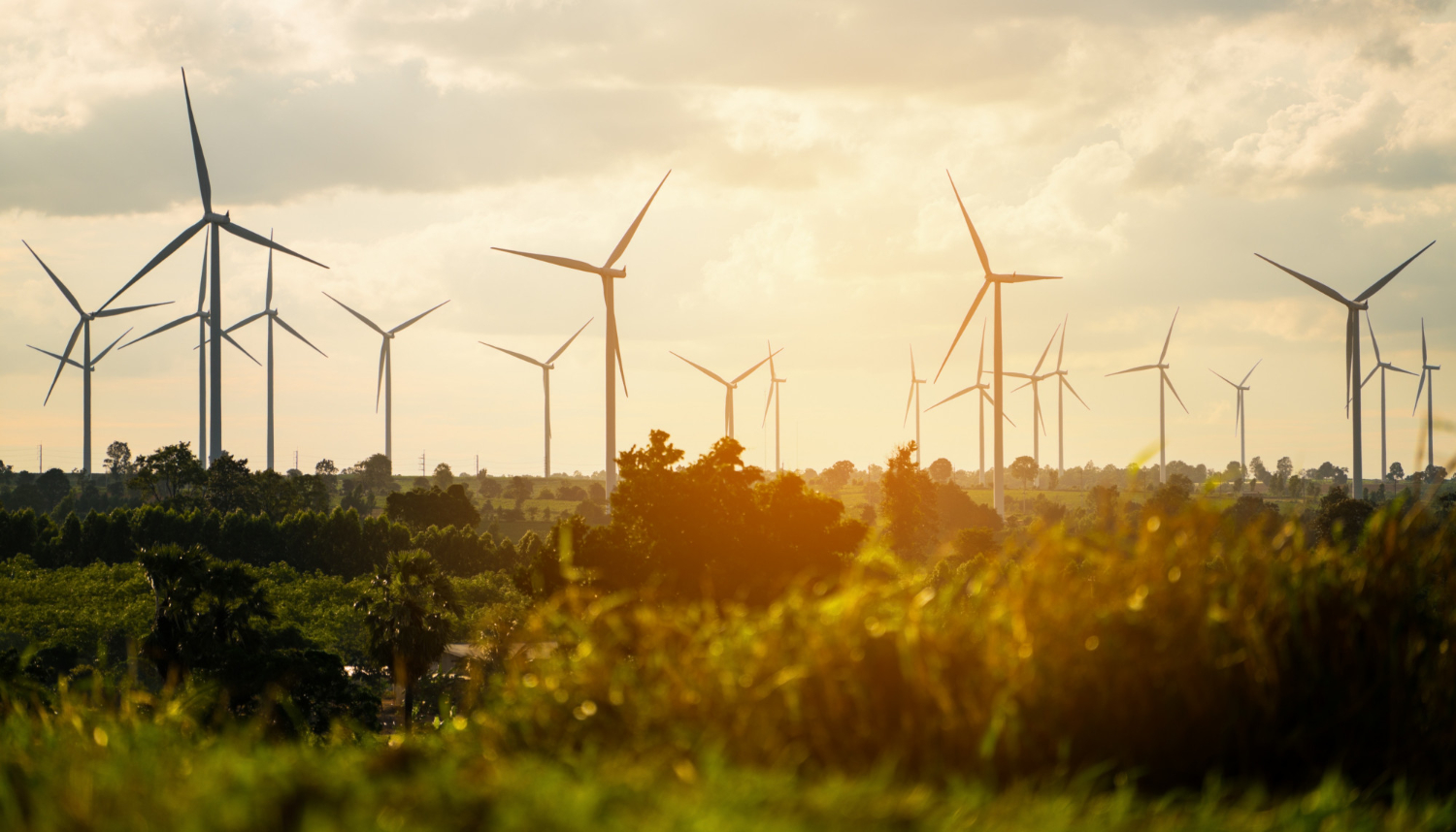 EU and ASEAN Strengthen Sustainability Cooperation Amid Energy Challenges