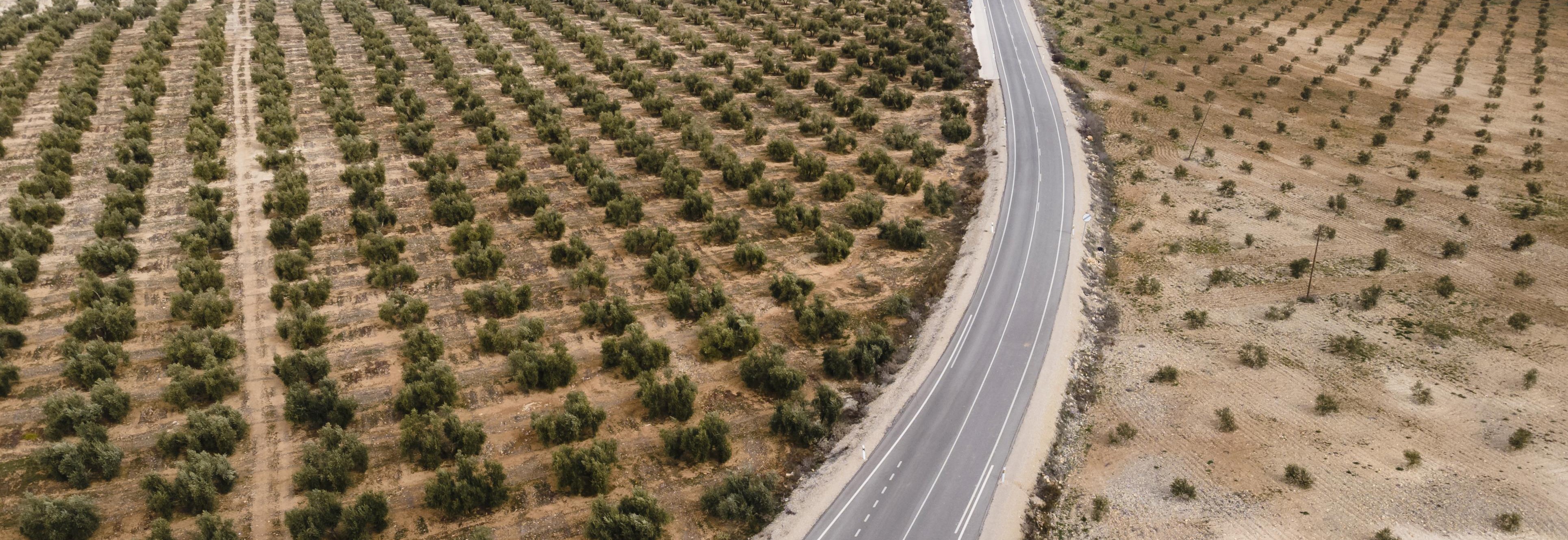 Emirates Nature-WWF Launches New 2030 Sustainability Strategy