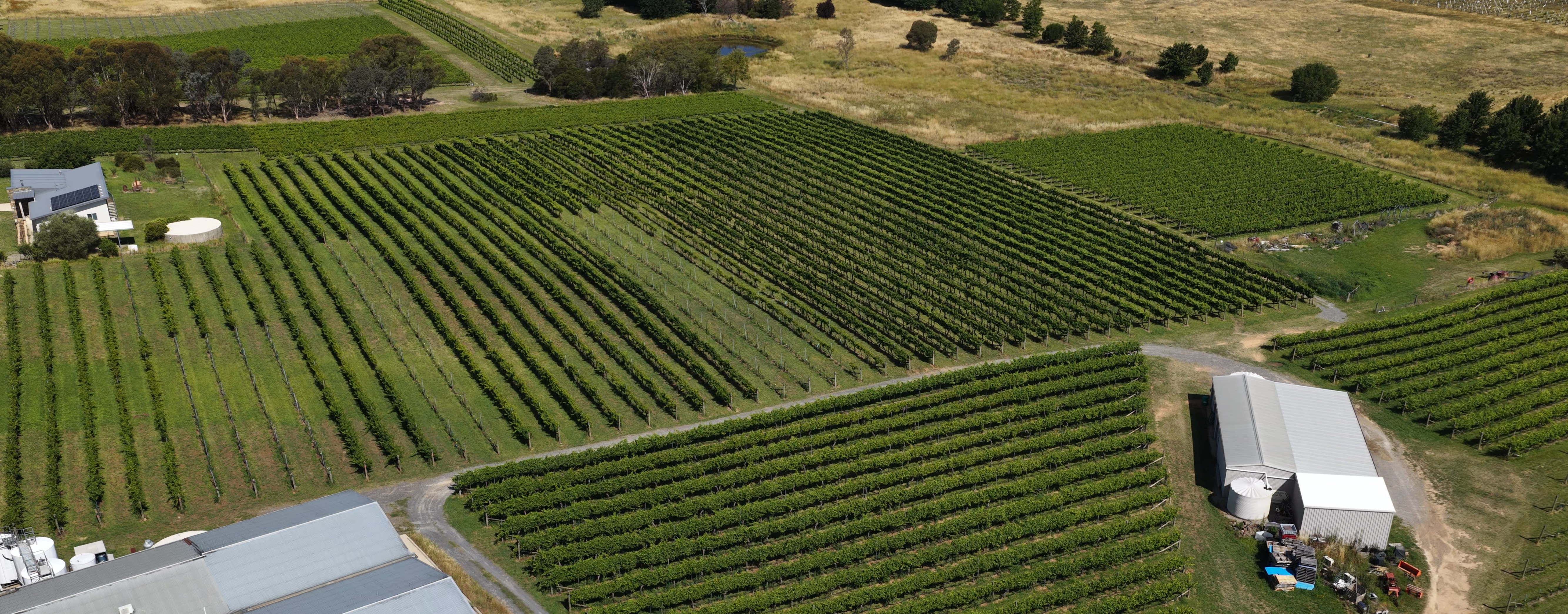 EU Launches €200 Million Farm Fund to Boost Climate-Resilient Agriculture
