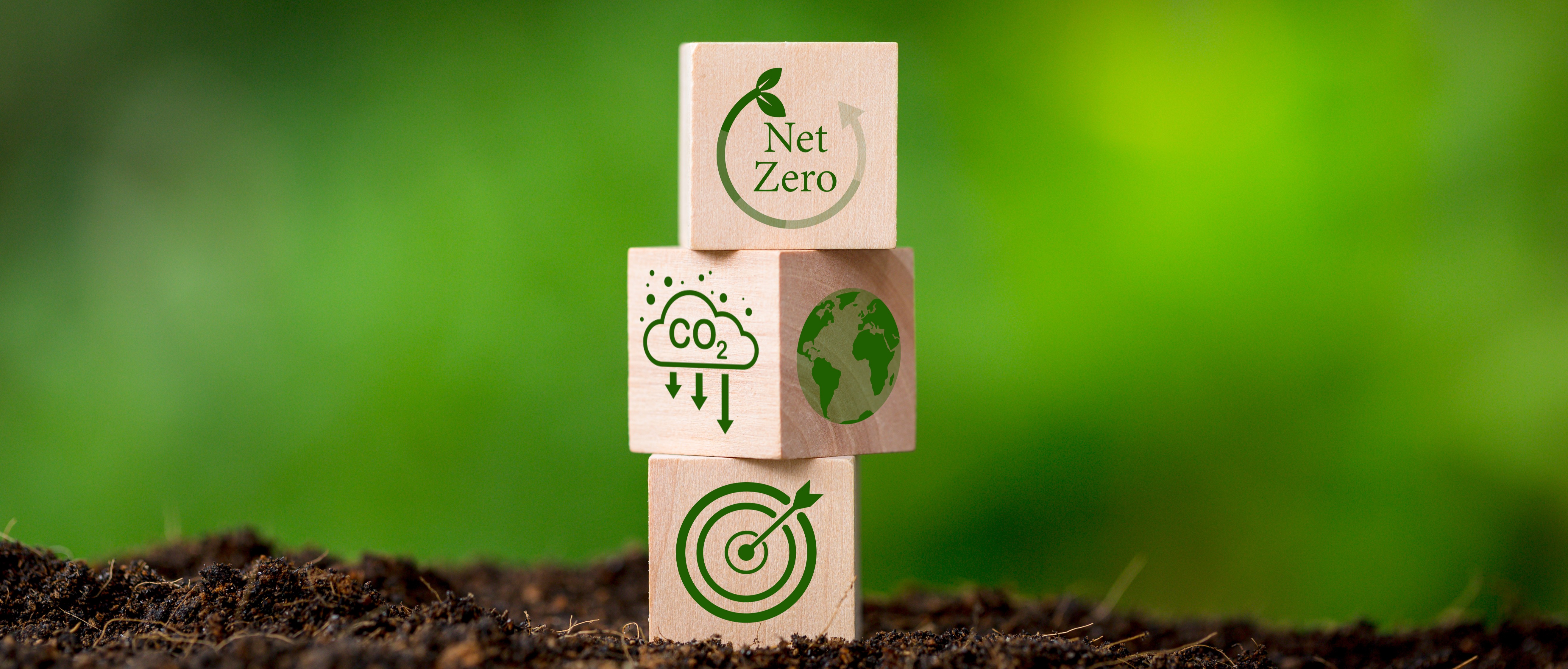 Oman Updates Net Zero Strategy and Launches National Carbon Market Framework