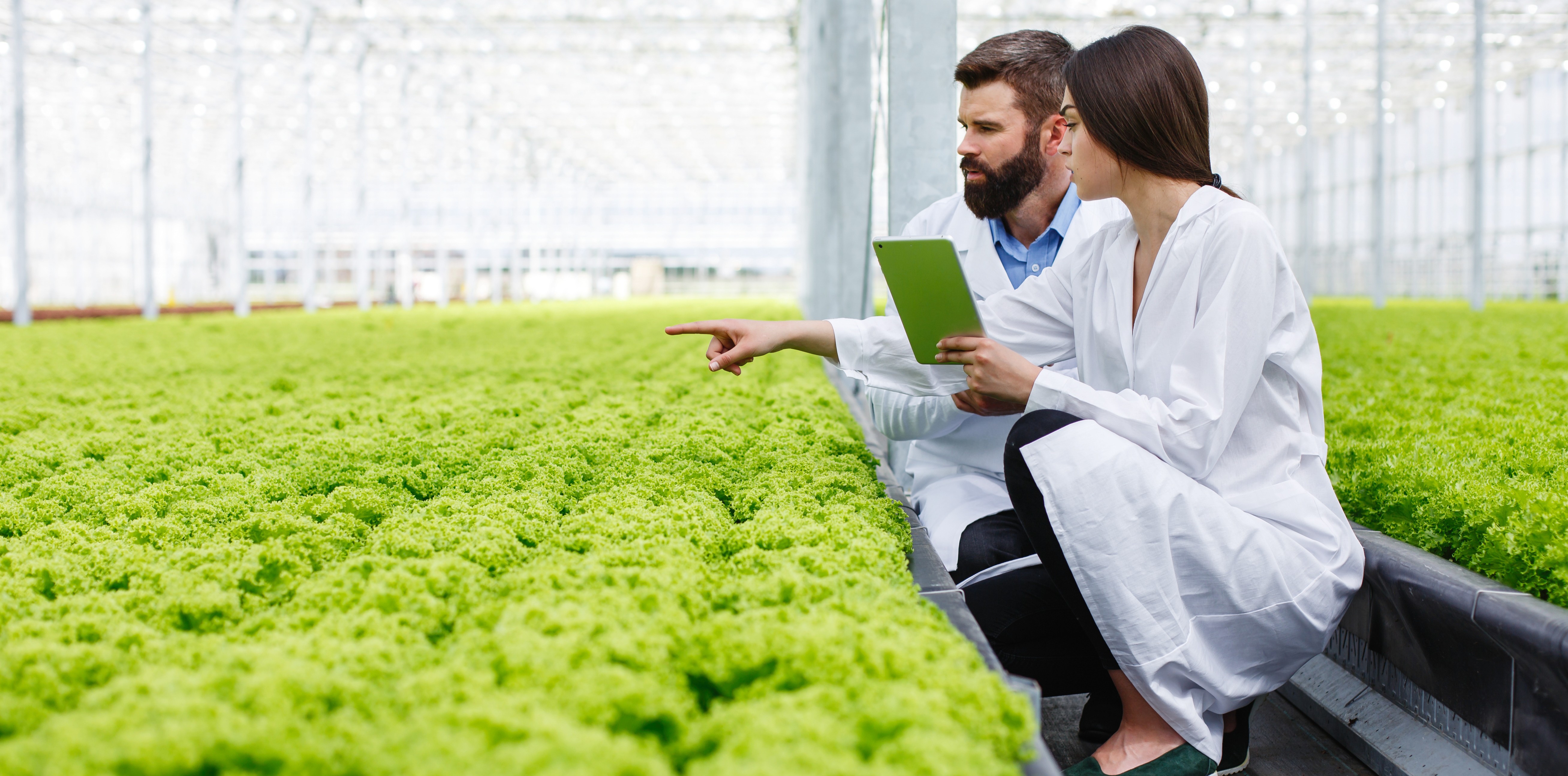 Australia and India Partnership Targets Future of Unmanned Sustainable Agriculture by 2047