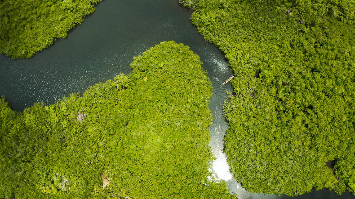 Mexico Expands Climate And Water Partnerships Through New Sustainability Cooperation With Germany