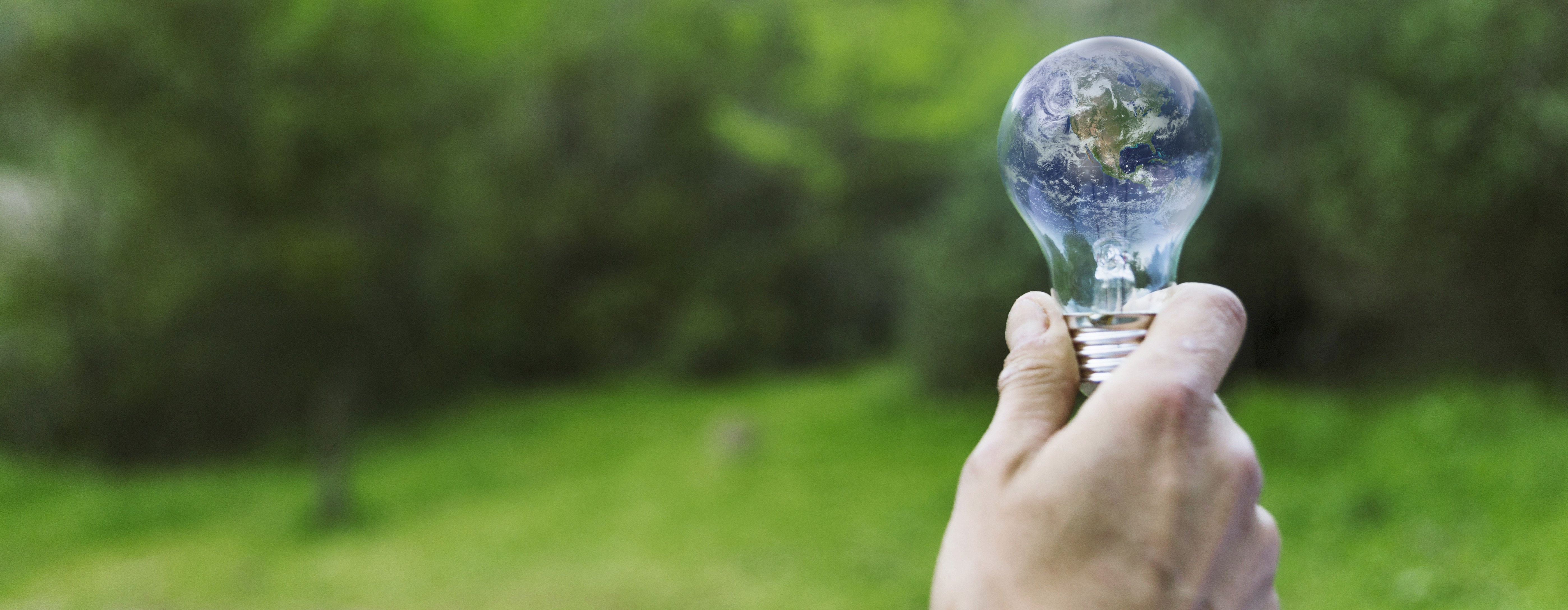 UAE Launches Global Energy Efficiency Alliance at COP29