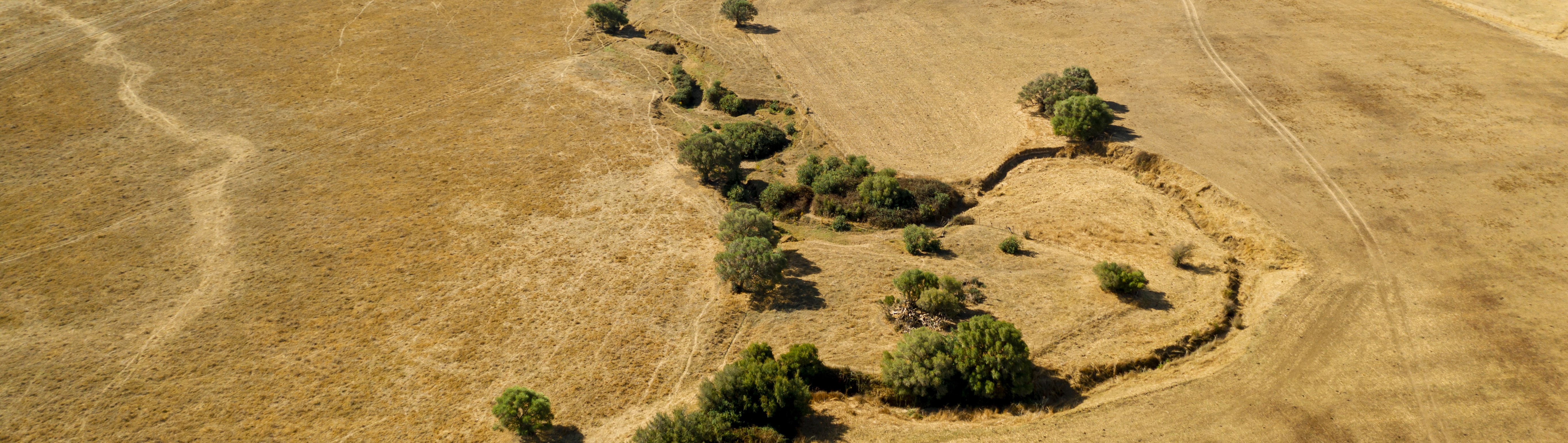 Qatar Launches National Strategy to Combat Desertification and Restore Ecosystems