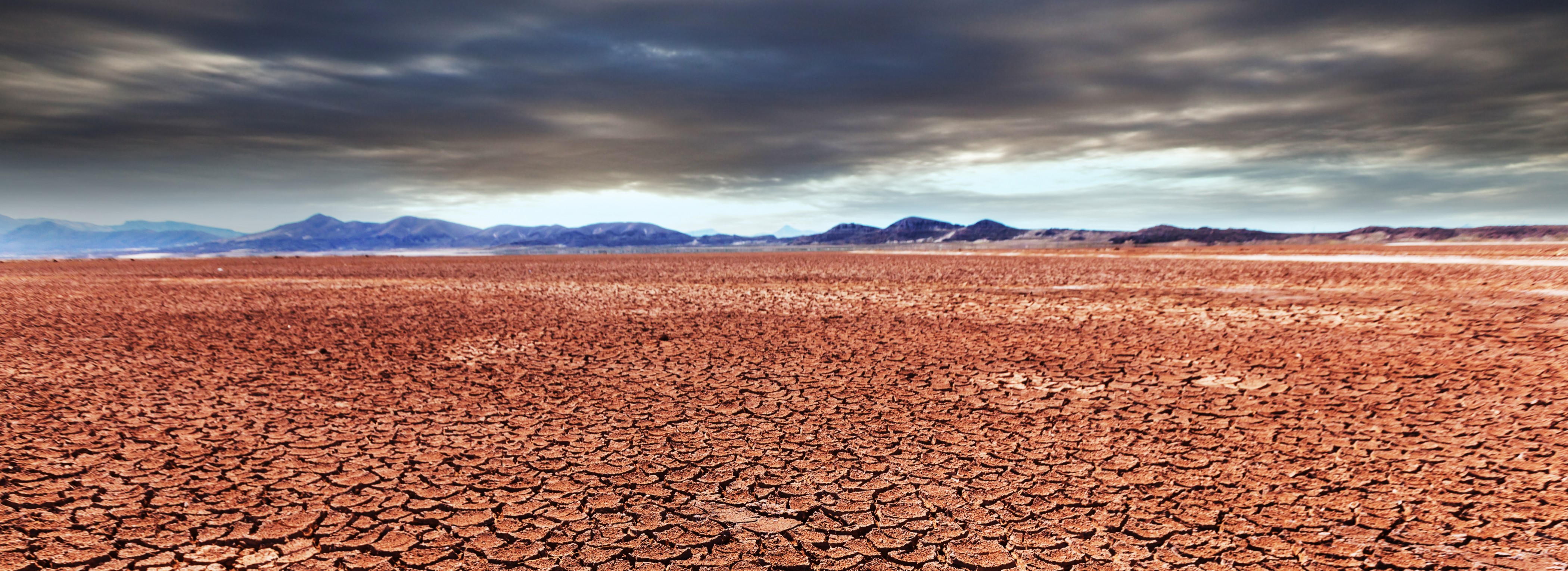 Kuwait Intensifies Efforts to Combat Desertification and Restore Degraded Land