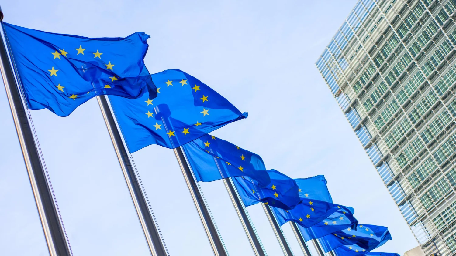 European Union Adopts New GSP Framework with Stronger Sustainability Standards