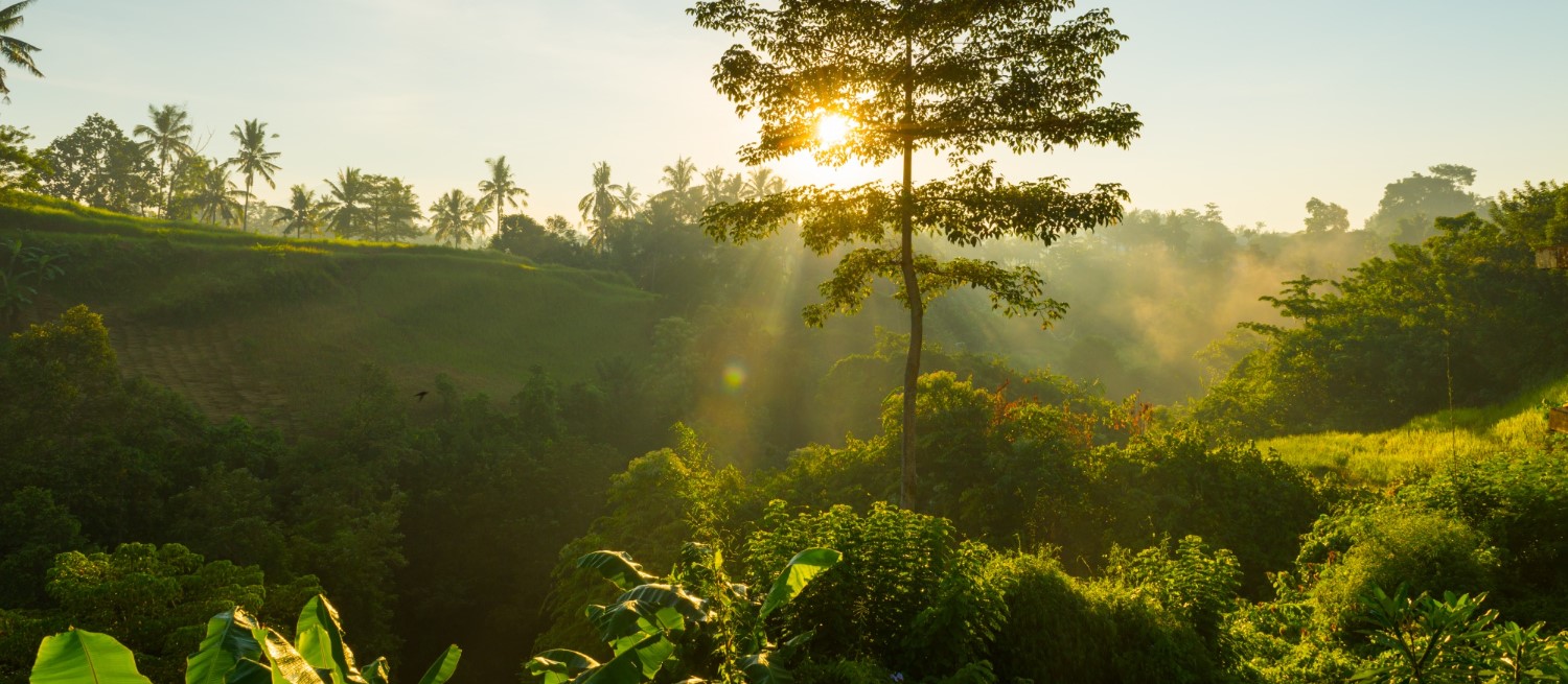 GCC and Bhutan Strengthen Environmental Cooperation Through New Climate Agreement