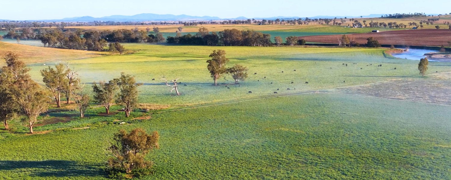 India Launches Guide to Protect Grasslands and Natural Ecosystems