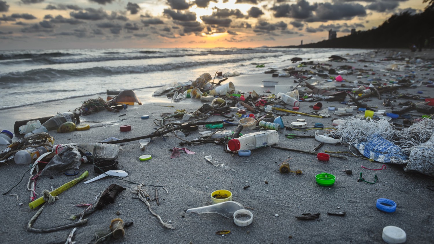 Mexico Turns Plastic Recovery Into a Circular Economy Push