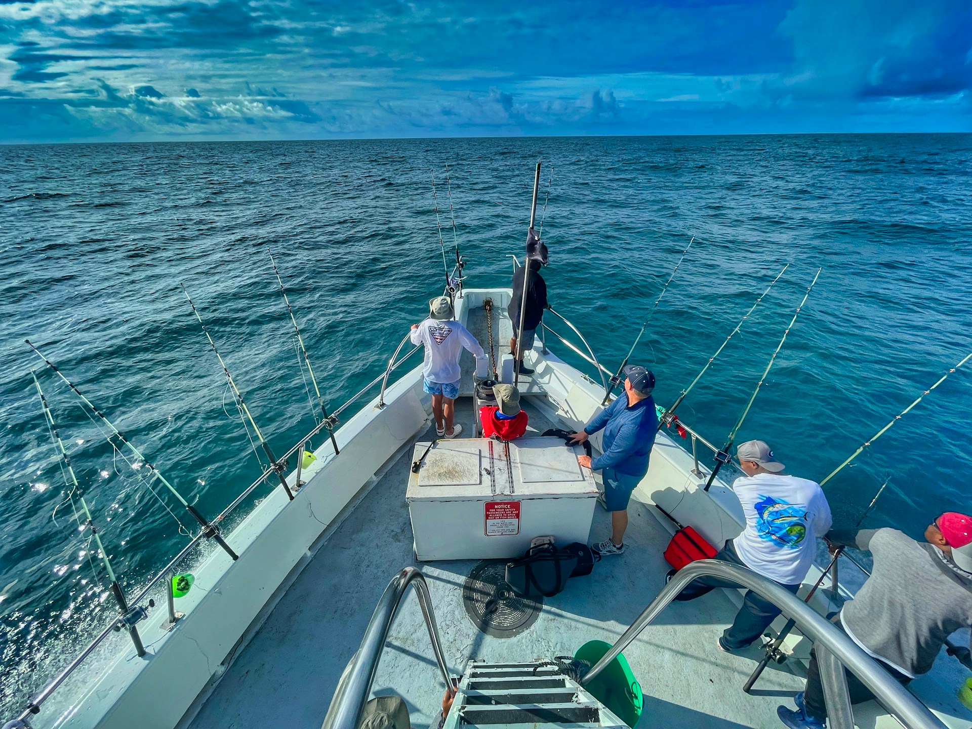 EU Proposes 2027 Baltic Sea Fishing Quotas Amid Critical Stock Warnings