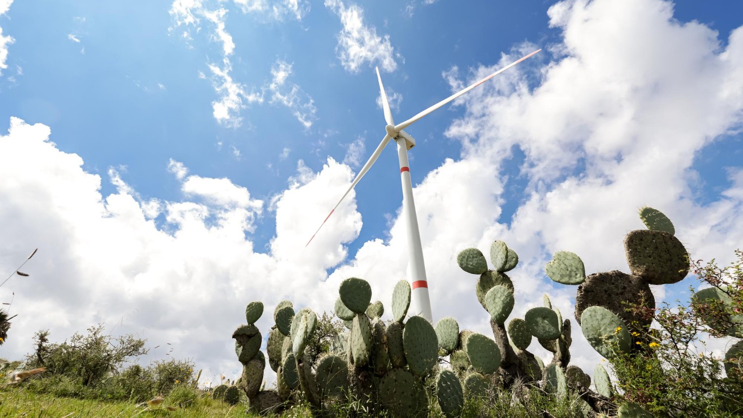 Mexico Approves $10.6 Billion Renewable Energy Pipeline, Accelerating Its Clean Power Transition