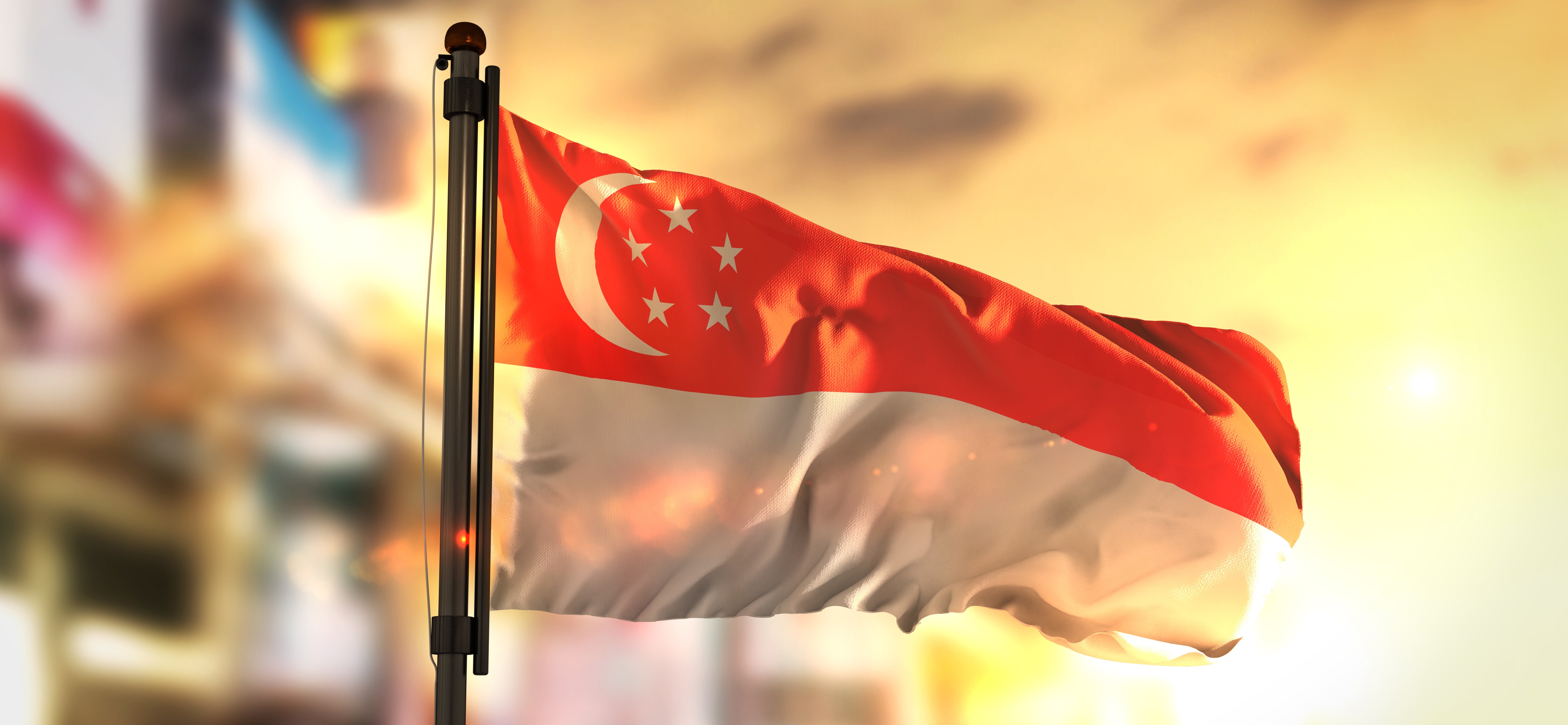 Singapore Proposes Sustainability Disclosure Standards with Mandatory Climate Reporting