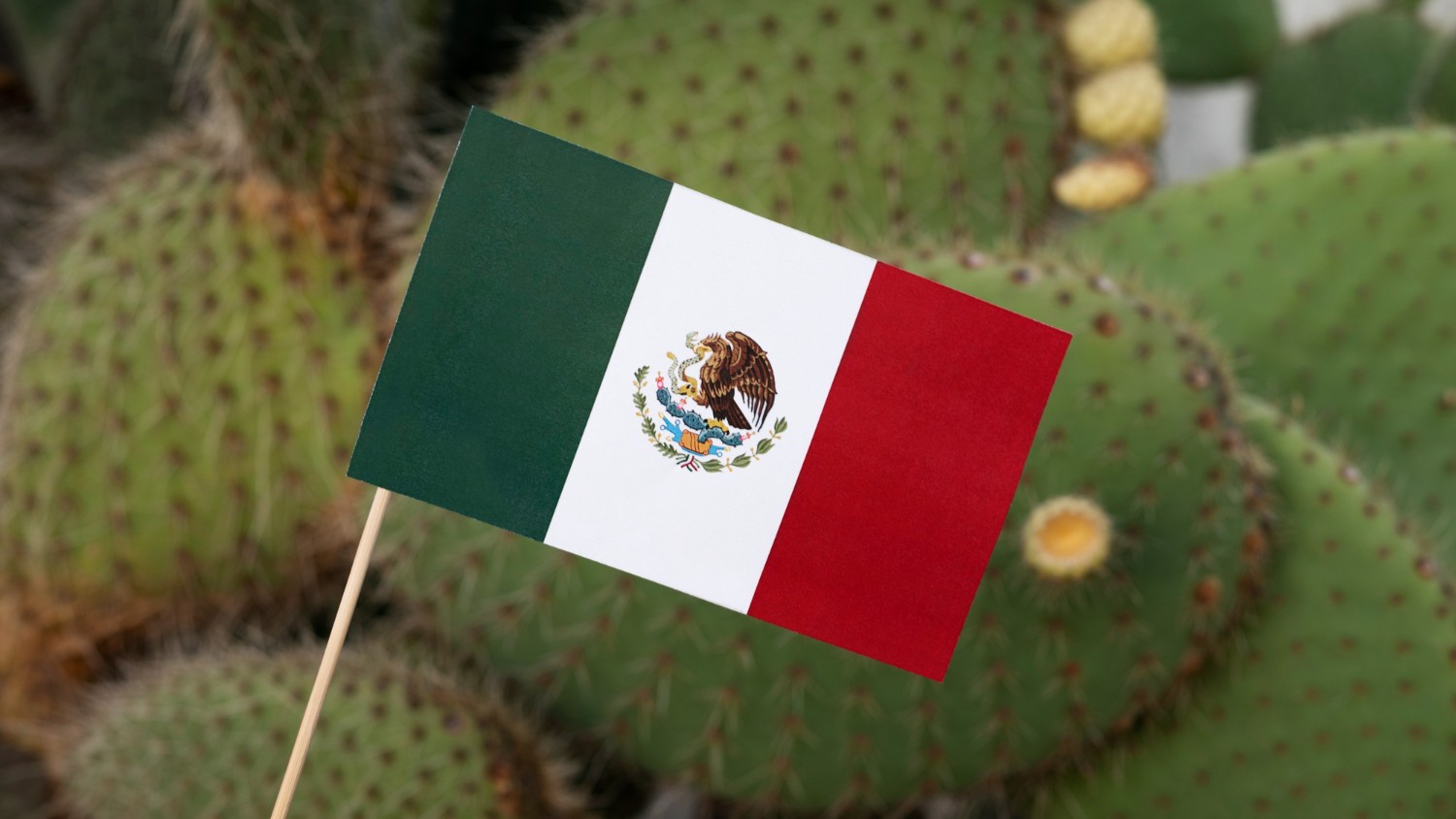 Mexico Urges Greater Biodiversity Finance as COP17 Exposes Global Funding Gaps