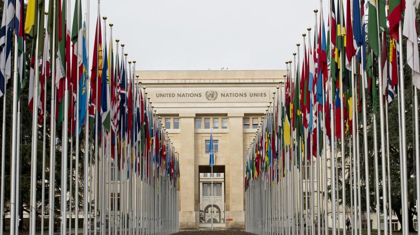 Bonn Climate Conference: Developments and Challenges in the Fight Against Climate Change