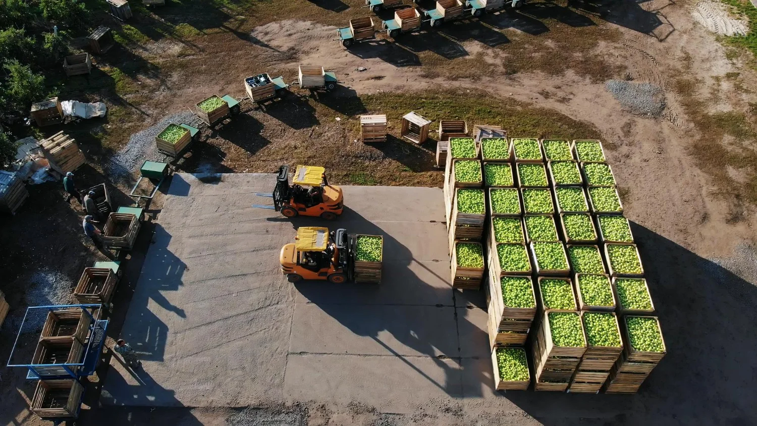 Embedding ESG Capabilities Across a Global Agri-Food Value Chain