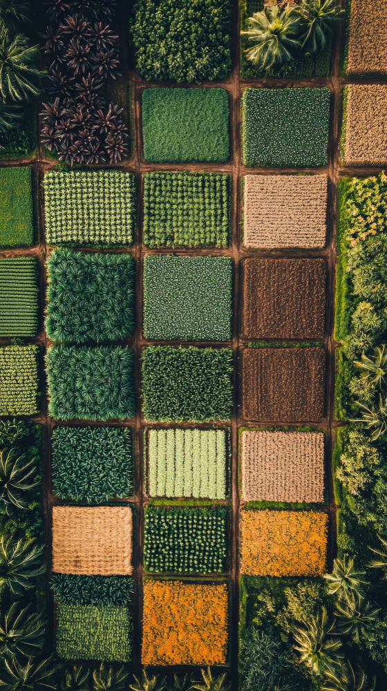 Sustainable farming