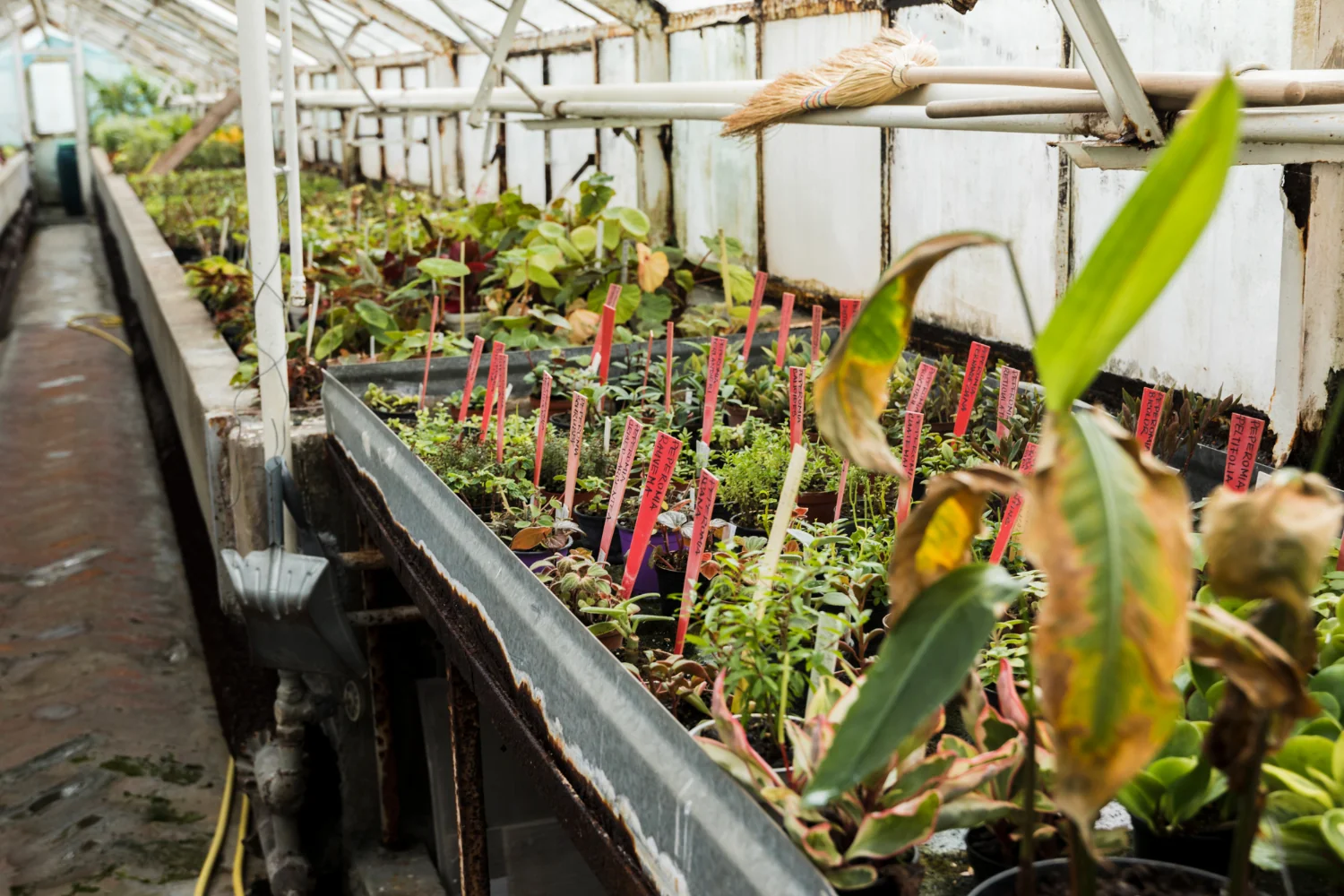 Integrating Human Rights and Climate Risk into Fertilizer & Chemical Manufacturing