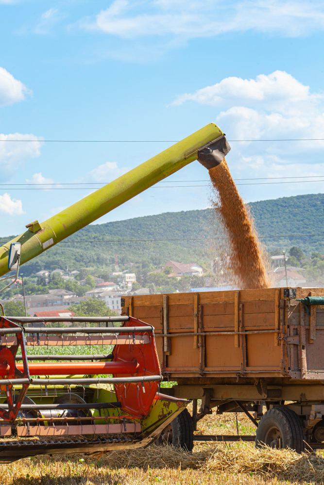 Sustainable fertilizer manufacturing
