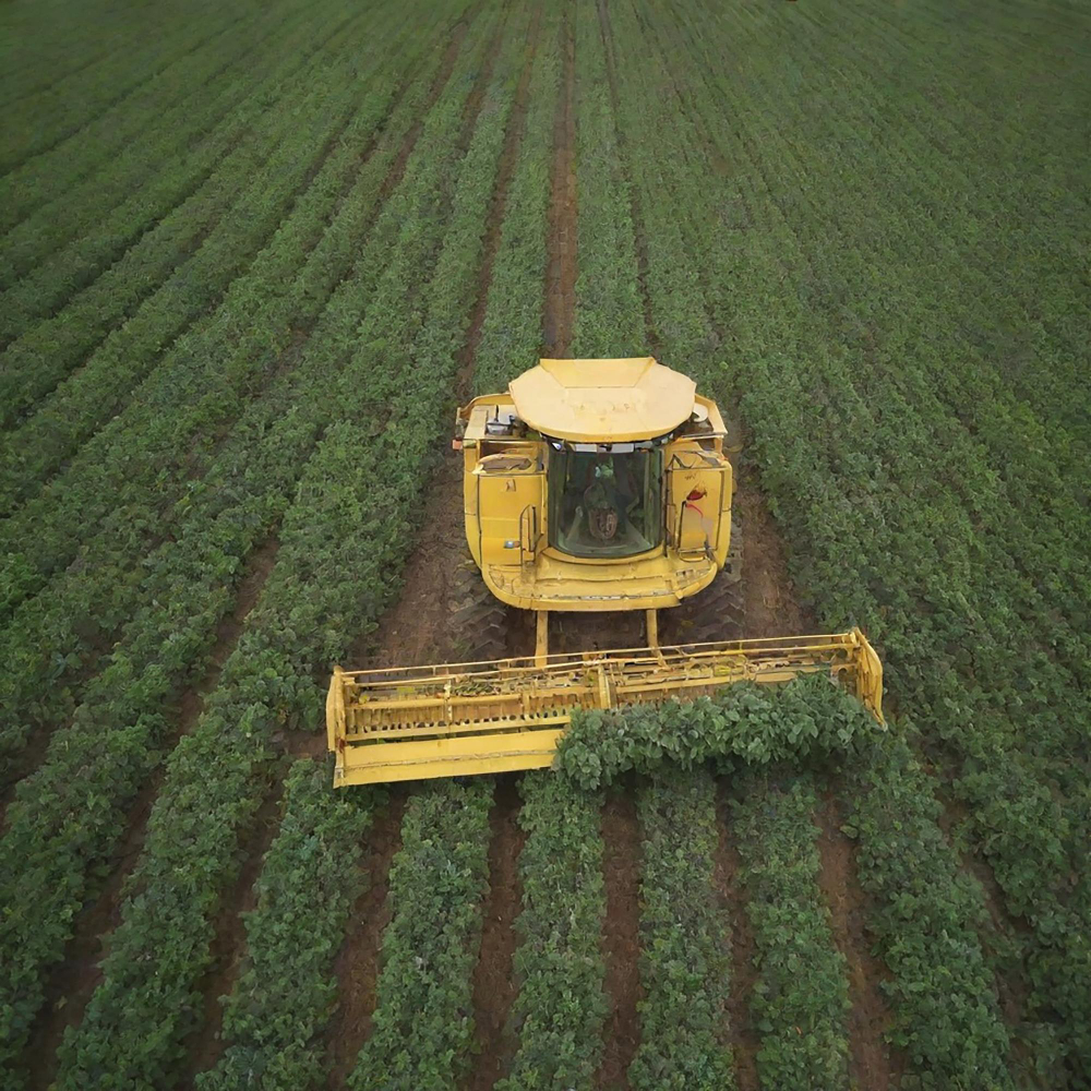 Crop protection