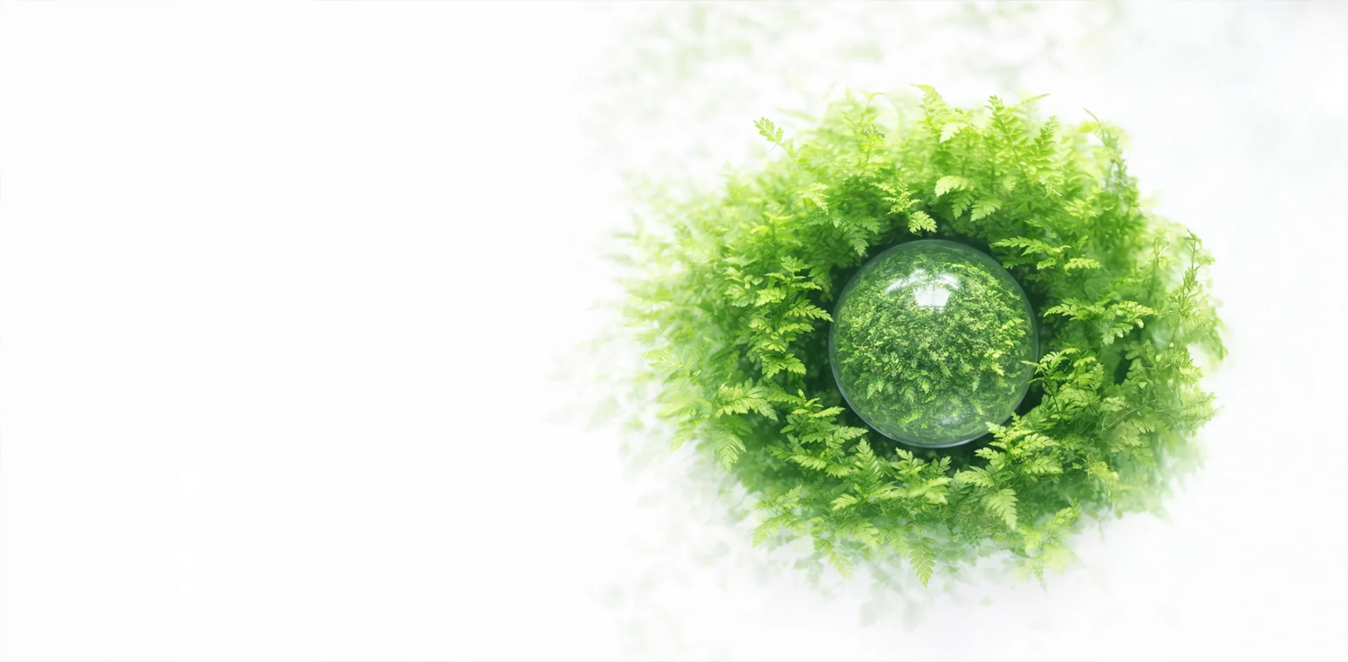 Insights Banner