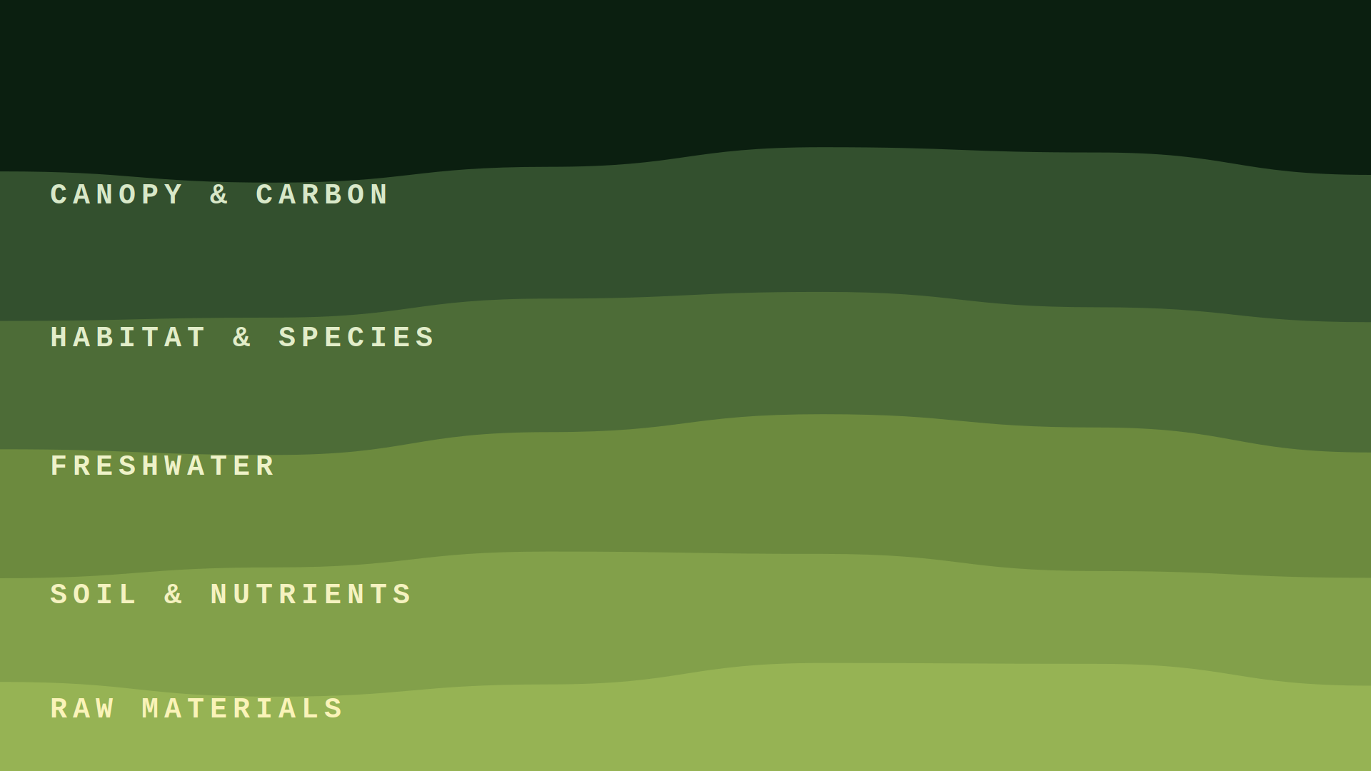 The four lenses of nature: impacts, dependencies, risks, opportunities